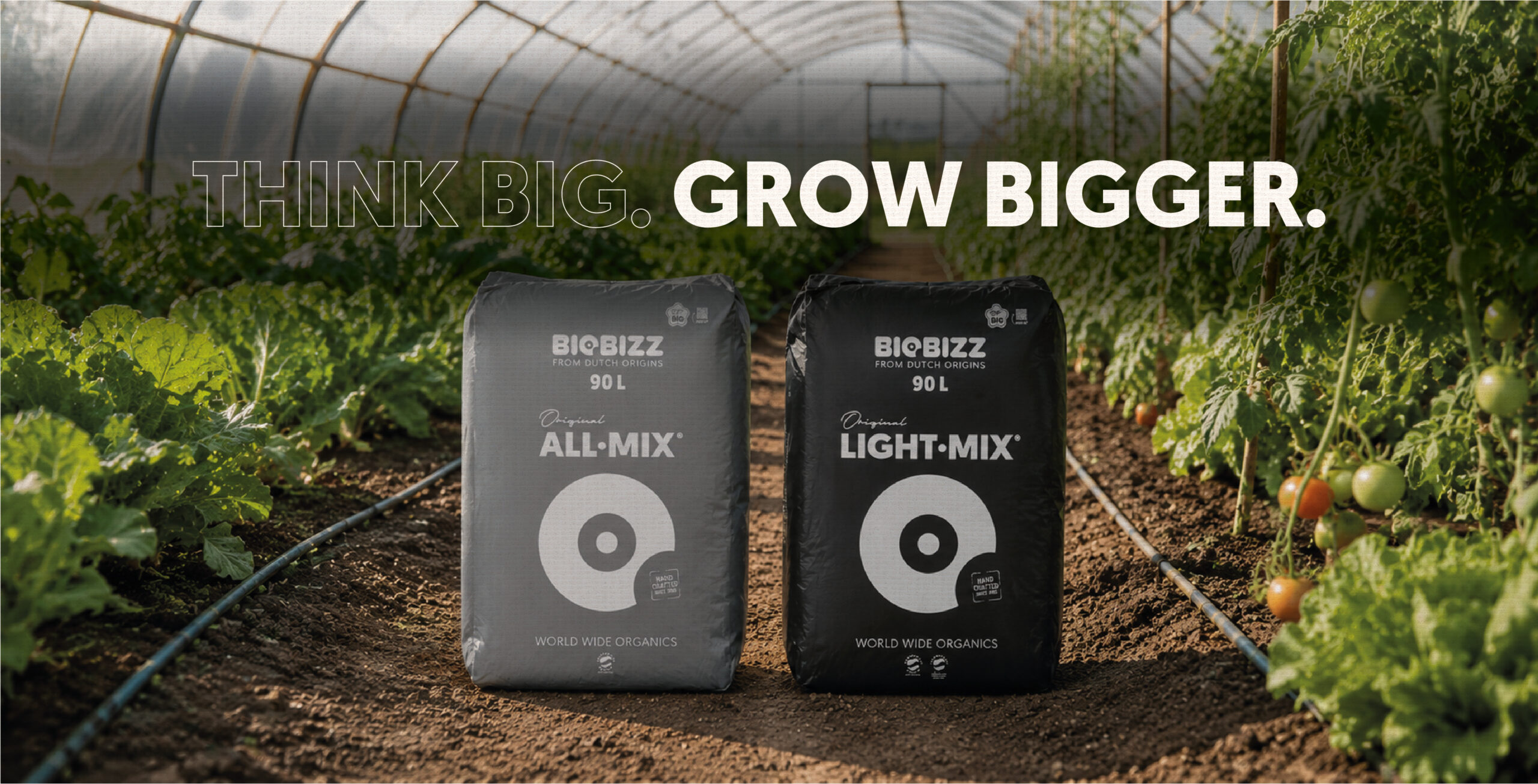 Think big, grow bigger. All-Mix and Light-Mix 90 litre bags in a greenhouse
